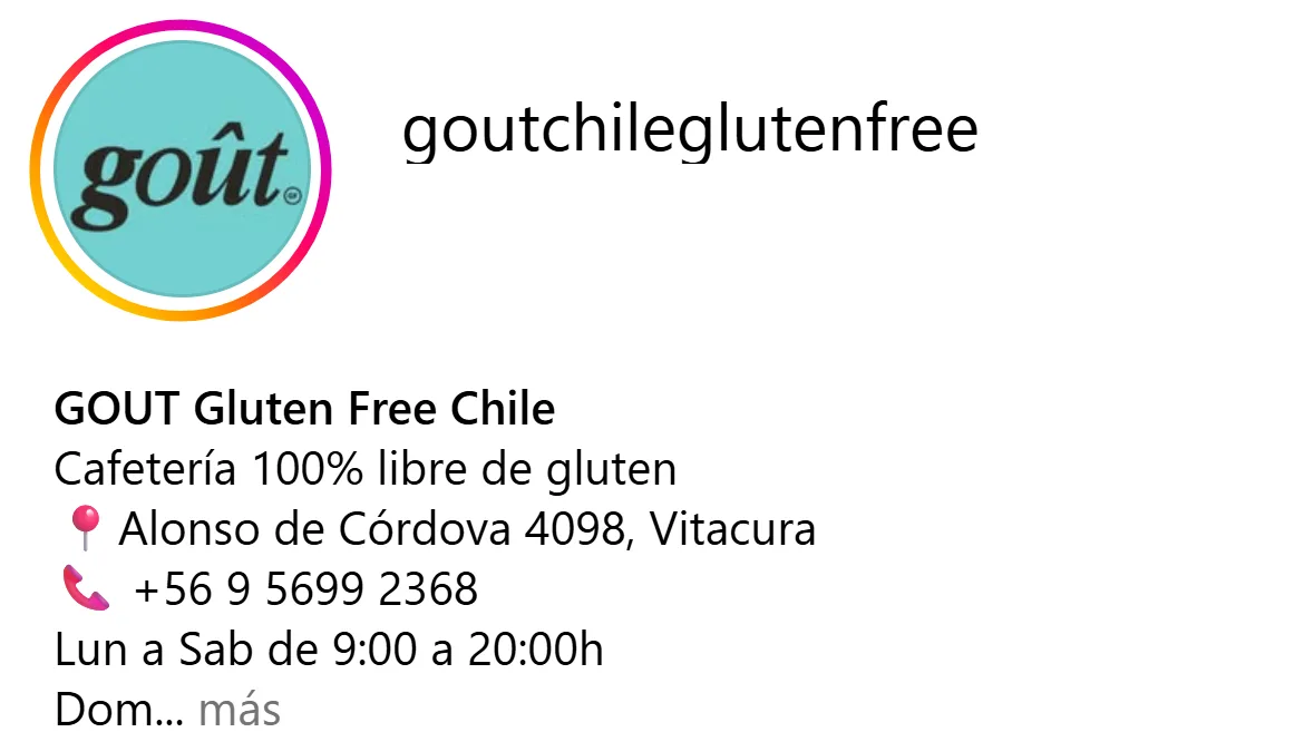 Goût Gluten Free Chile - proyecto realizado por Manish